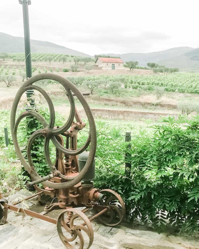 Douro Valley wine tour