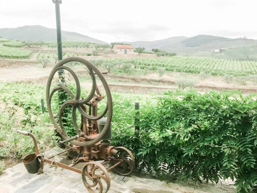 Dour Valley wine tour Croft vineyards
