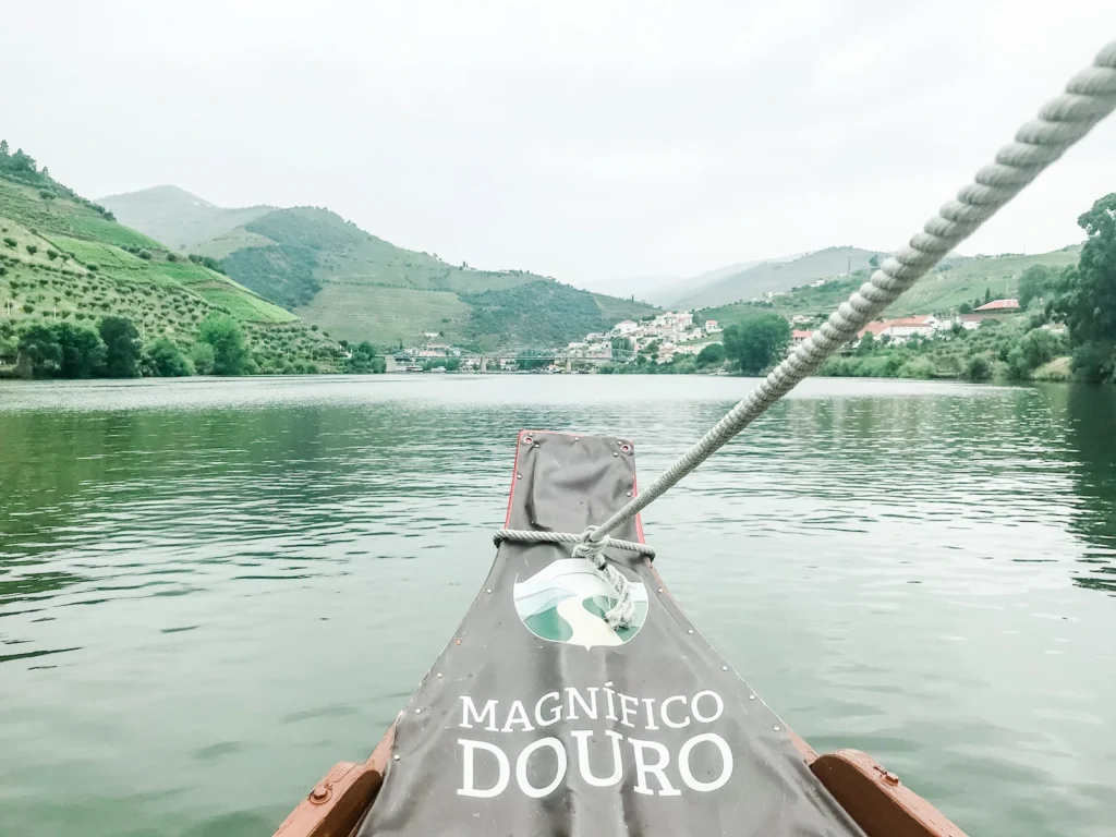Douro River boat cruise