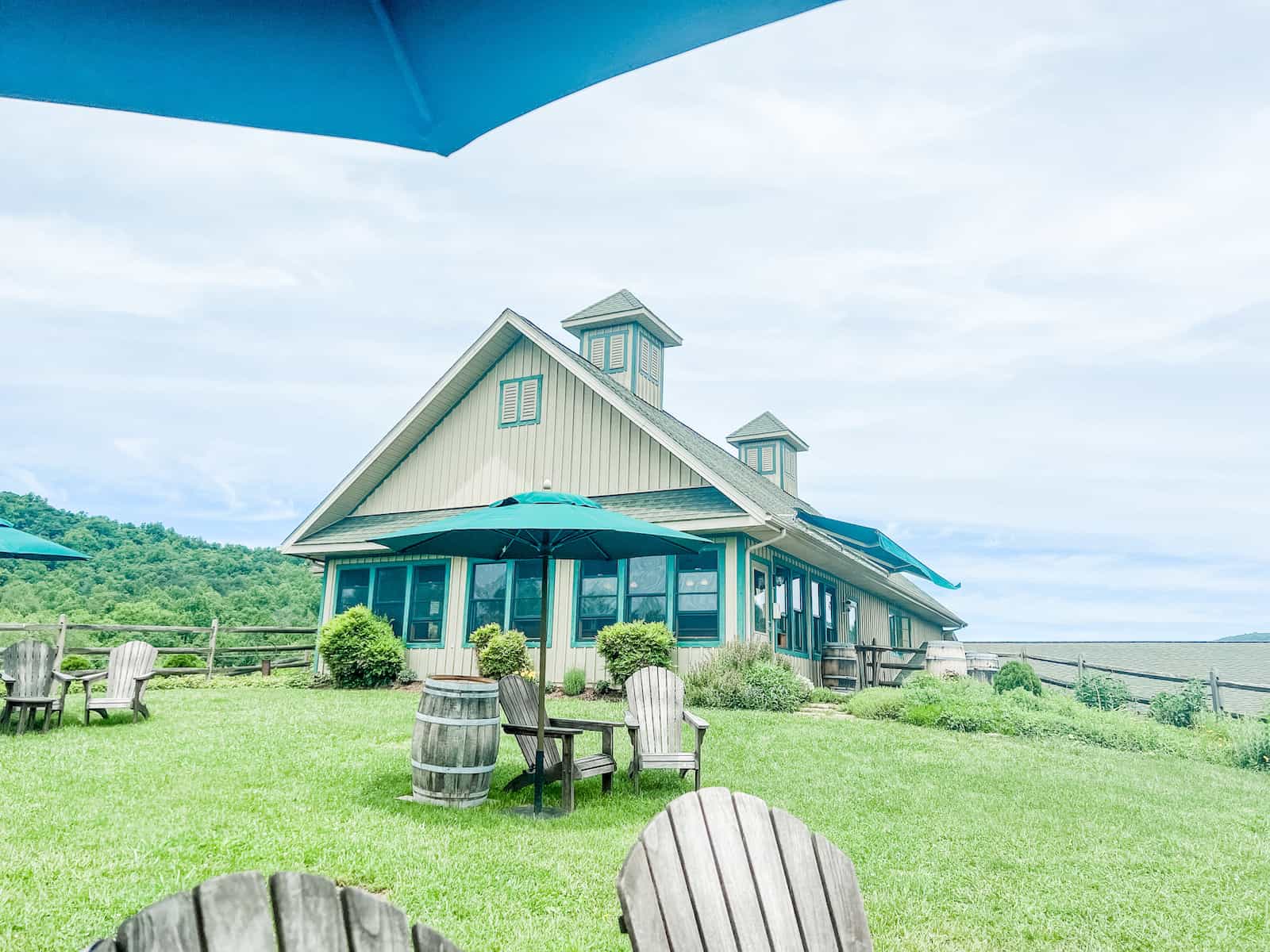 Top 3 Best Wineries in Northern Virginia to Visit