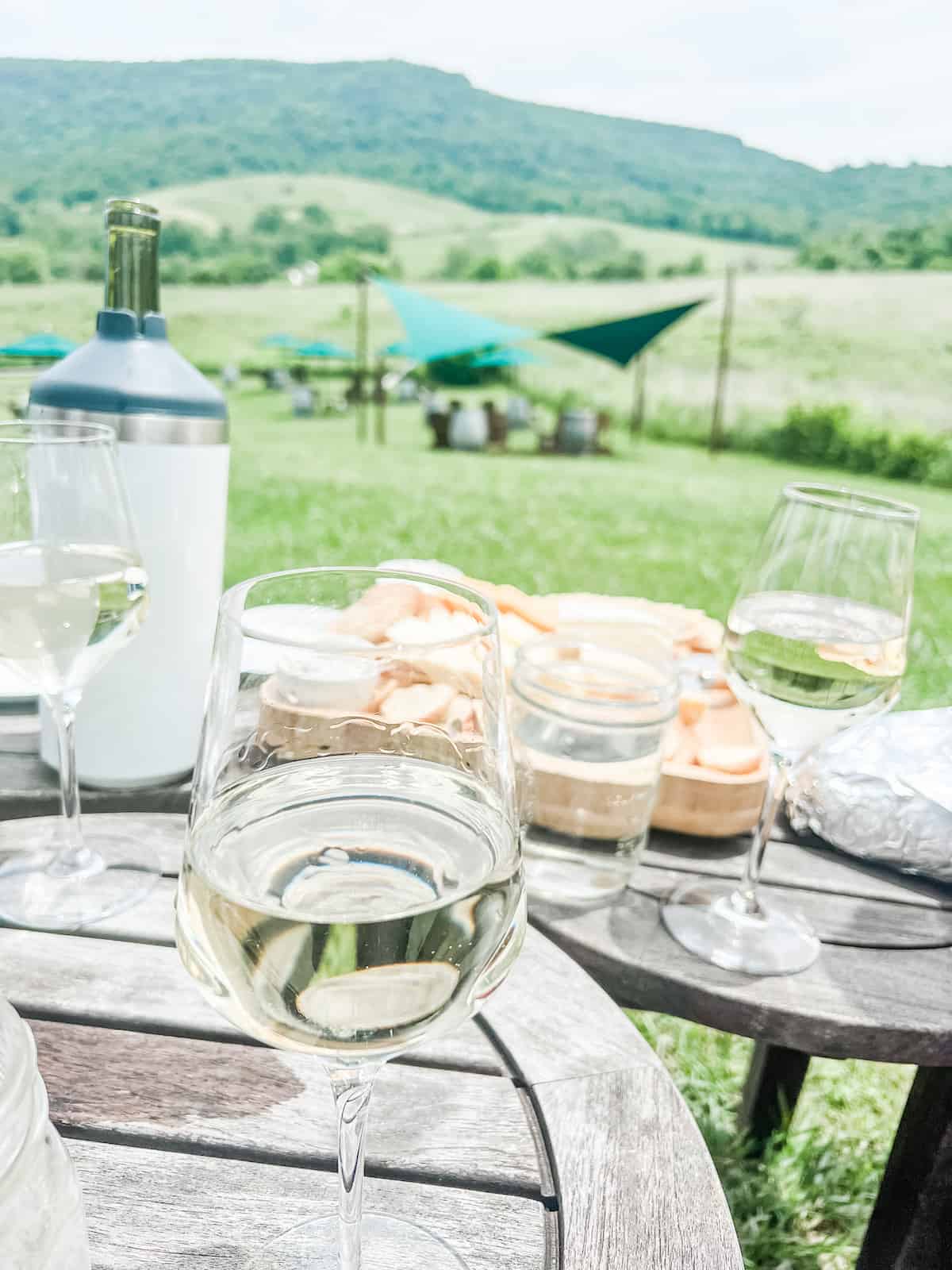 Top 3 Best Wineries in Northern Virginia to Visit