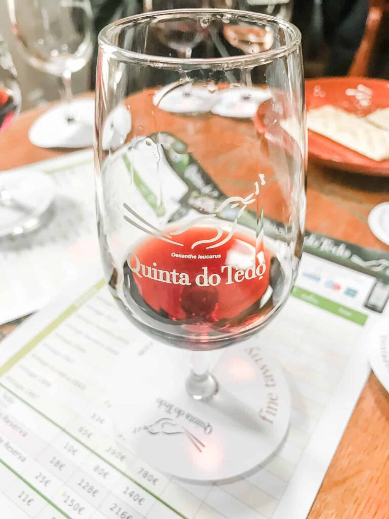 Quinta do Tedo ruby port tasting