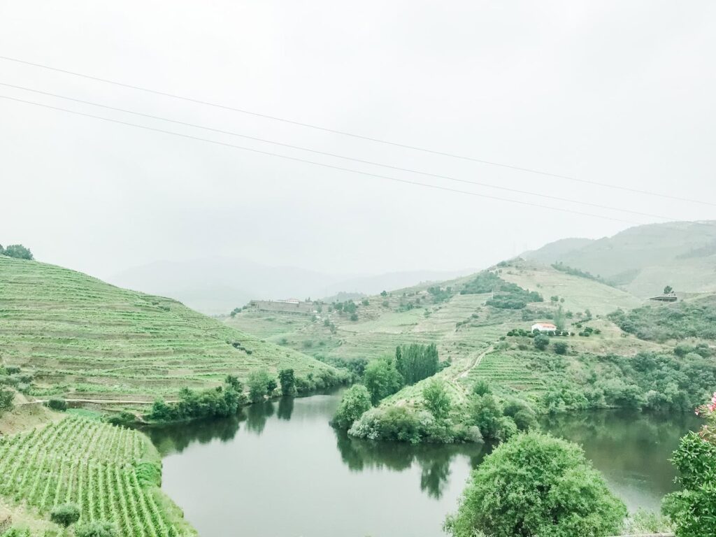 View from Quinta do Tedo