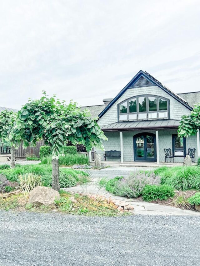The Best Wineries in Northern Virginia