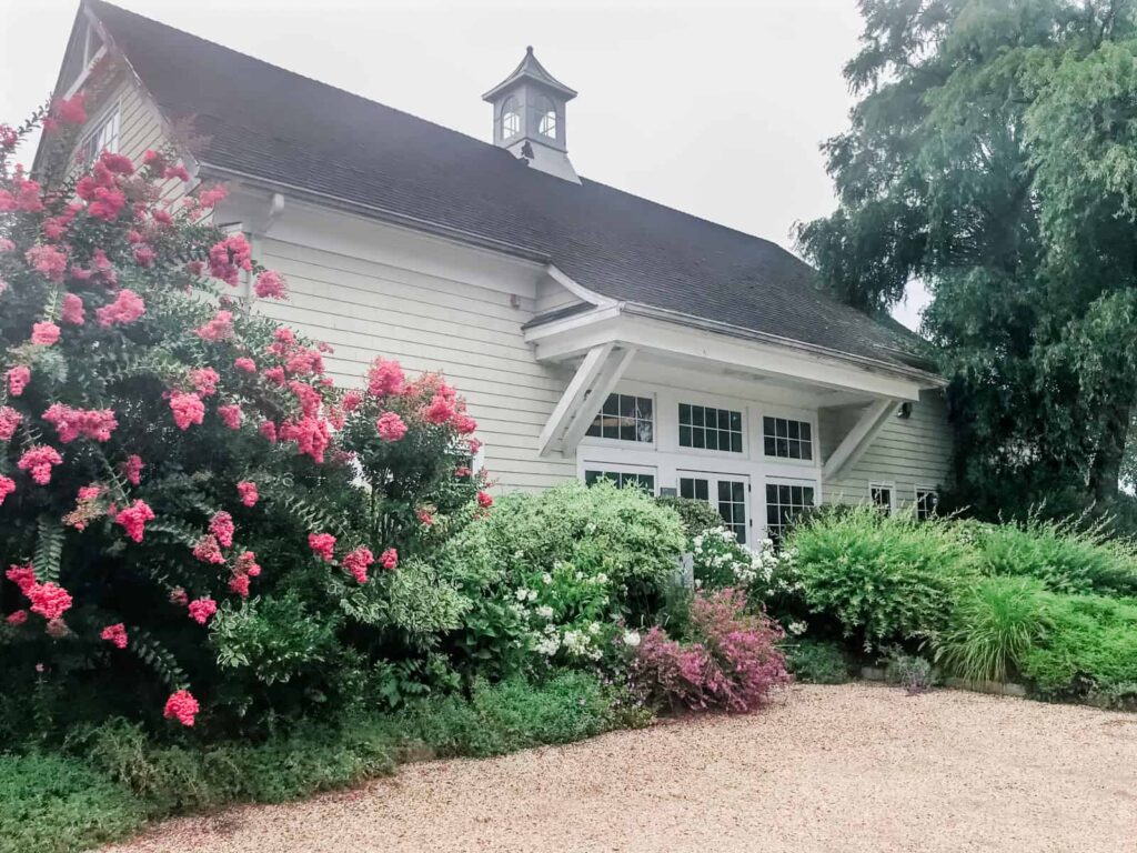 A charming white-sided building of Bedell Winery, partially obscured by lush, flowering bushes with pink blooms.