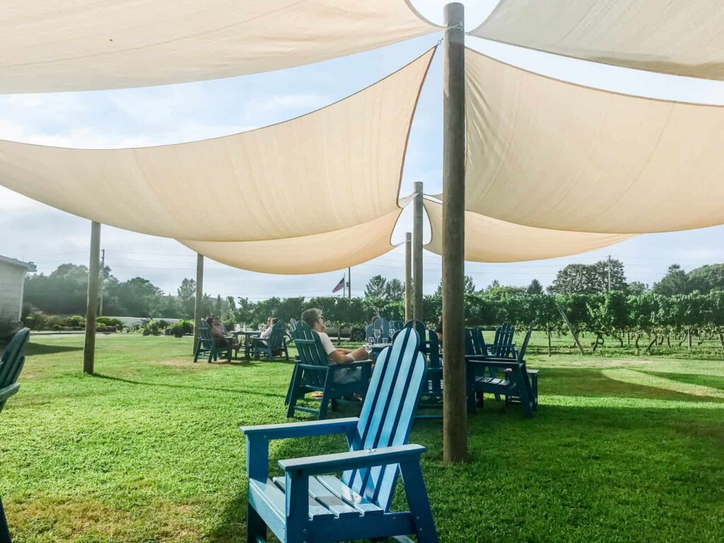 A shaded seating area with large beige sail canopies, blue Adirondack chairs, and people seated at tables, overlooking a lush vineyard on a sunny day.