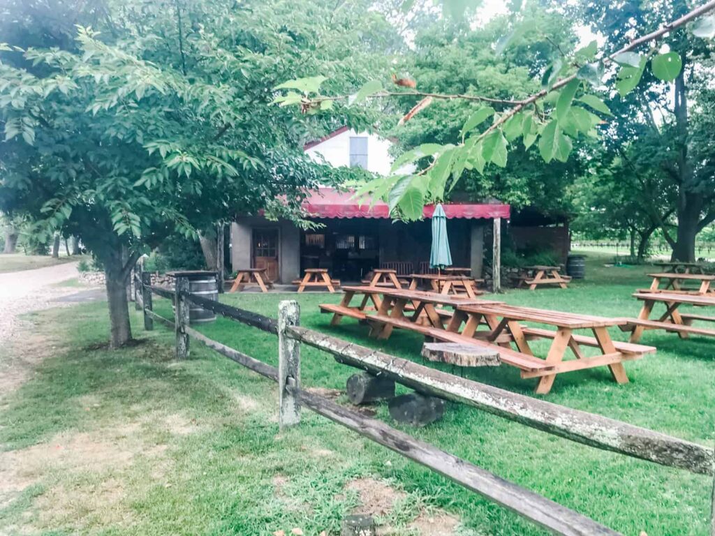 A serene outdoor setting at McCall winery, featuring several picnic tables set on a lush green lawn, shaded by trees, with a rustic building in the background.