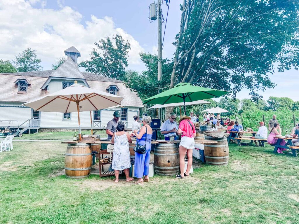 Wineries in Newport, RI - Greenvale Vineyards outdoor wine tasting bar