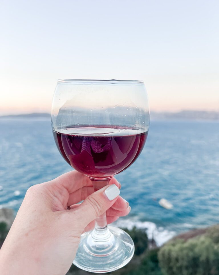 Inspirational wine quotes - hand holding glass of red wine with view of ocean in background