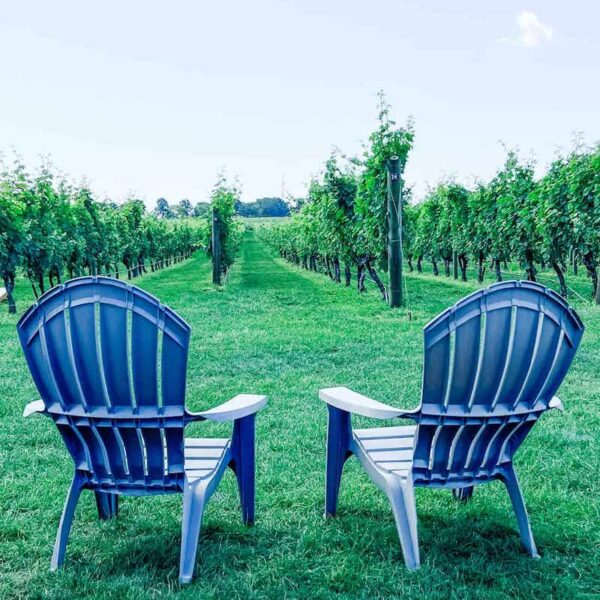 Pinterest Wine Travelista