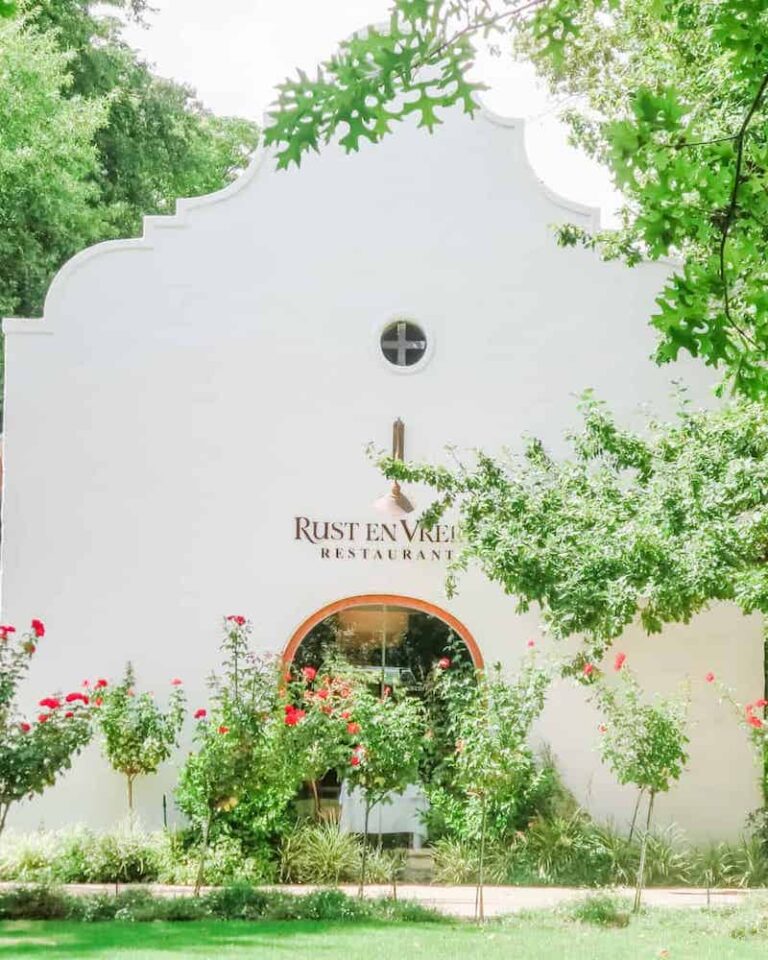 Stellenbosch wineries feature