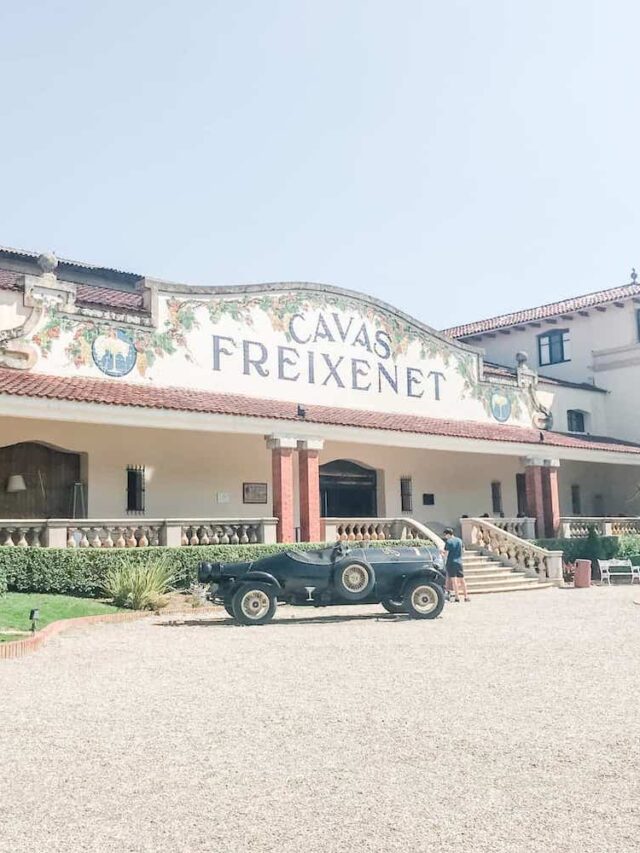 Cava winery Spain feature