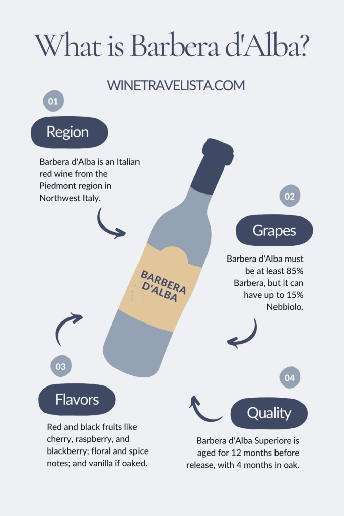 Barbera d'Alba infographic with information on the region, grapes, flavors, and quality classification