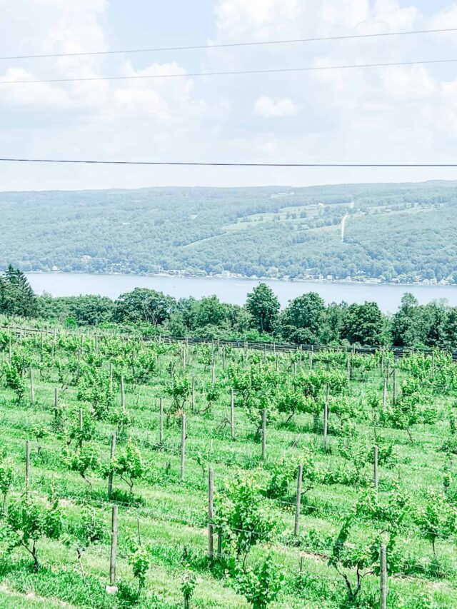 6 Best Keuka Lake Wineries