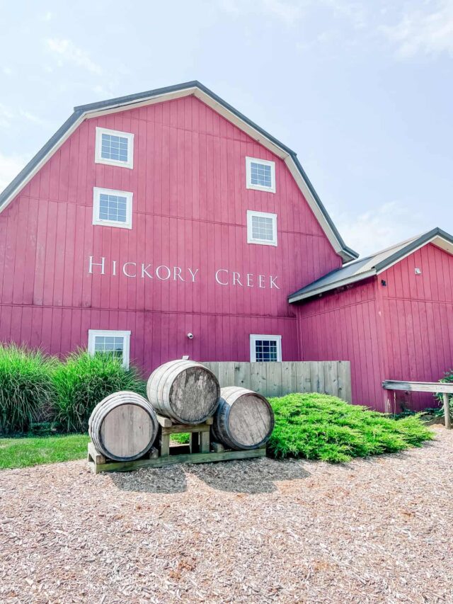 8 Best New Buffalo Wineries in Southwest Michigan