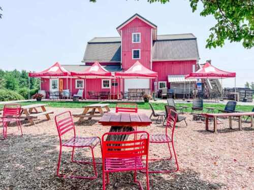 8 Best New Buffalo Wineries in Southwest Michigan