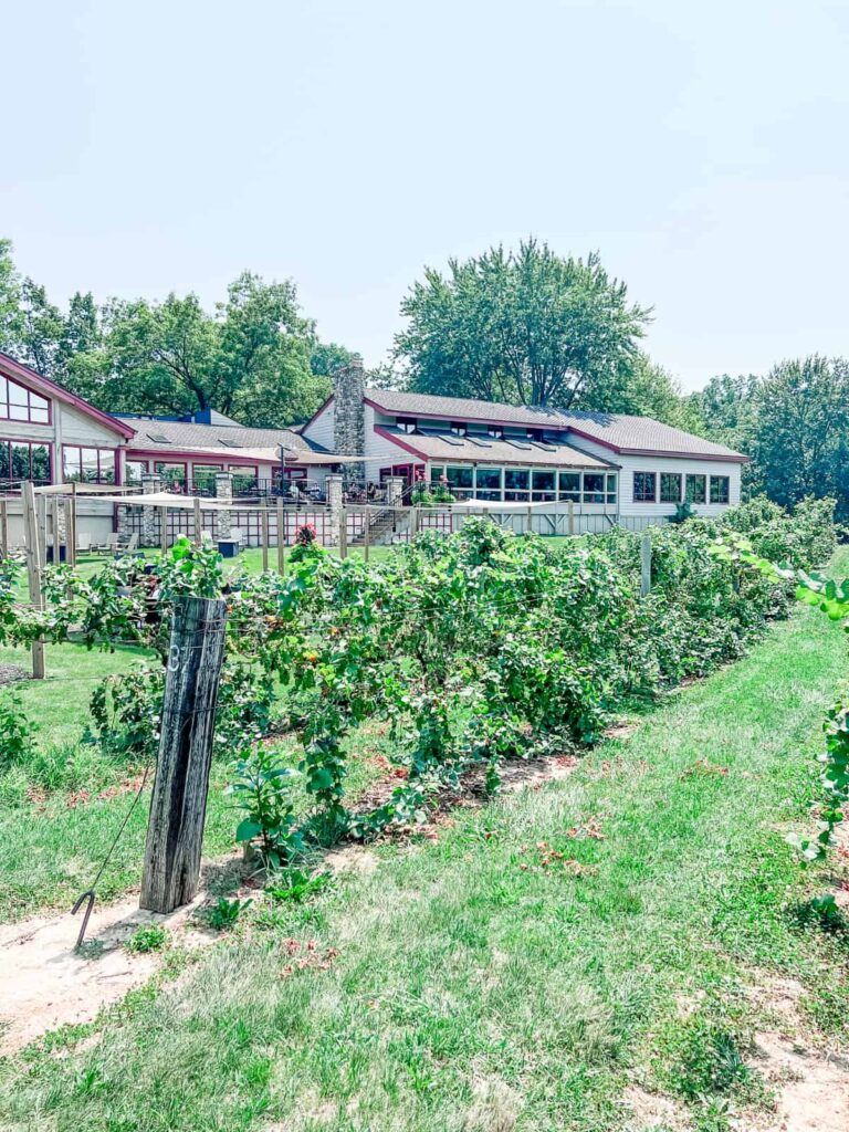 Tabor Hill winery and vineyard