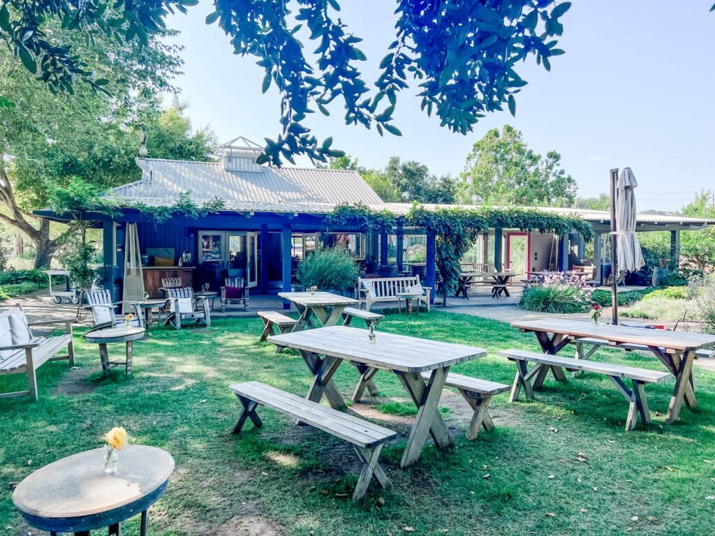Rustic outdoor seating at Buttonwood Winery with wooden picnic tables and a relaxed, garden-like atmosphere.