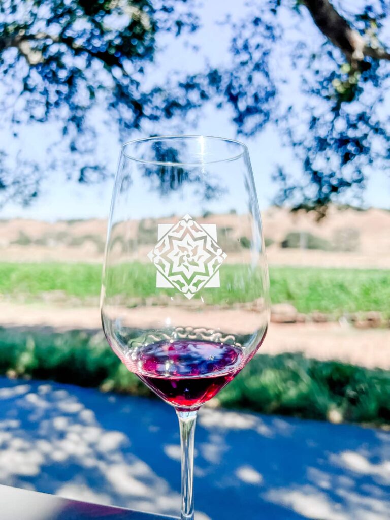 Stemmed wine glass with a red wine and a decorative logo, held up against a vineyard background with trees.