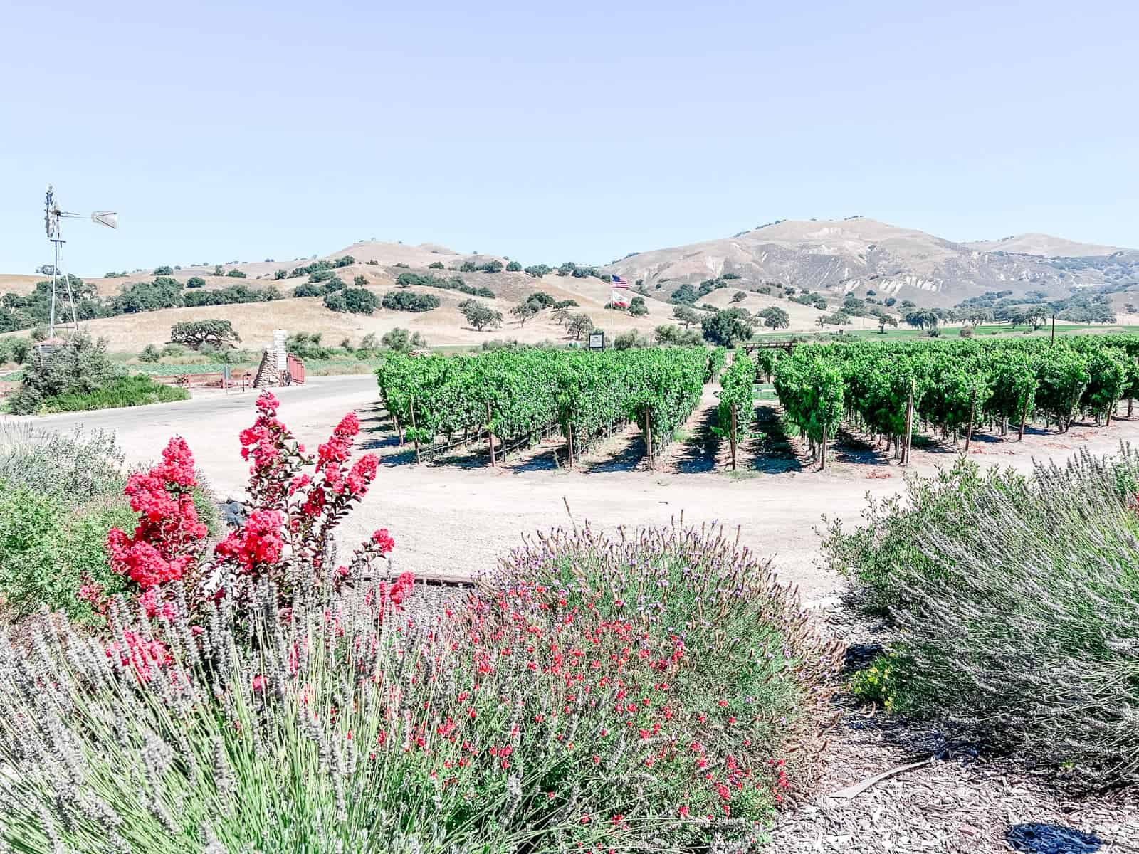 Discover Santa Barbara Wine Country Essential Guide Wine Travelista
