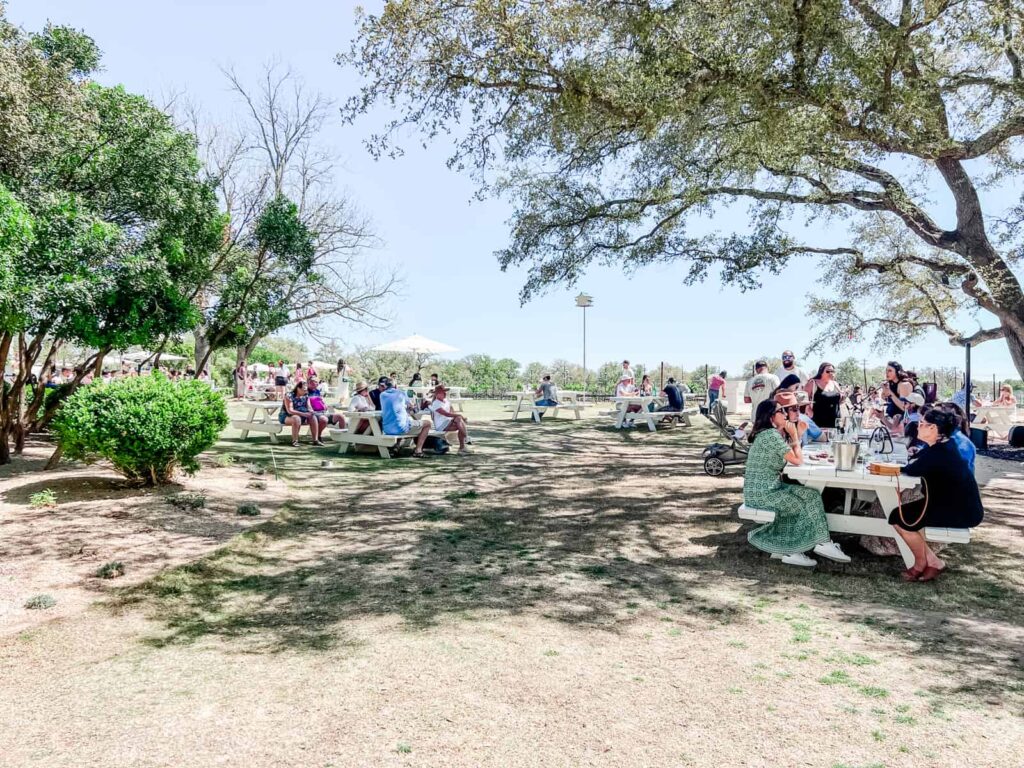 People enjoying an outdoor wine tasting session at picnic tables under the shade of large trees, in a spacious vineyard setting on a sunny day.