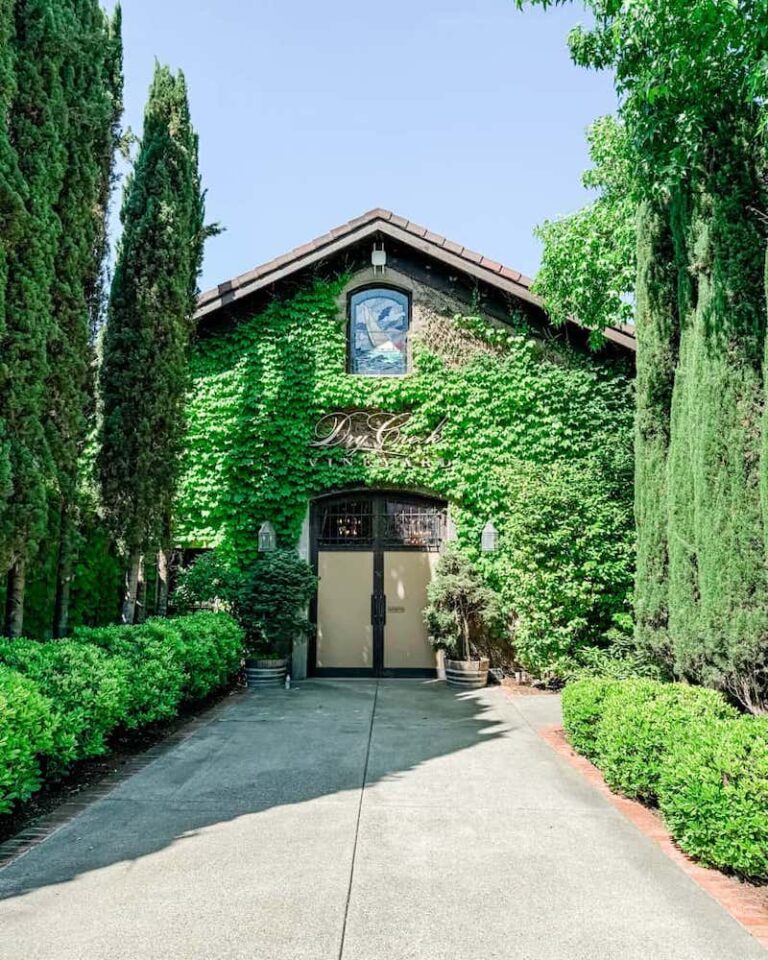 Ivy-covered entrance to Dry Creek Vineyard framed by tall trees and manicured hedges, with a sign above the door and a serene, inviting pathway.