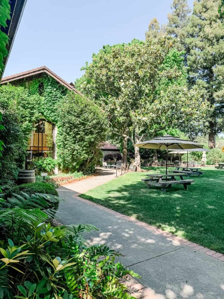 Shaded picnic tables and green lawn at Dry Creek Vineyard, surrounded by lush foliage and trees, perfect for outdoor wine tastings.