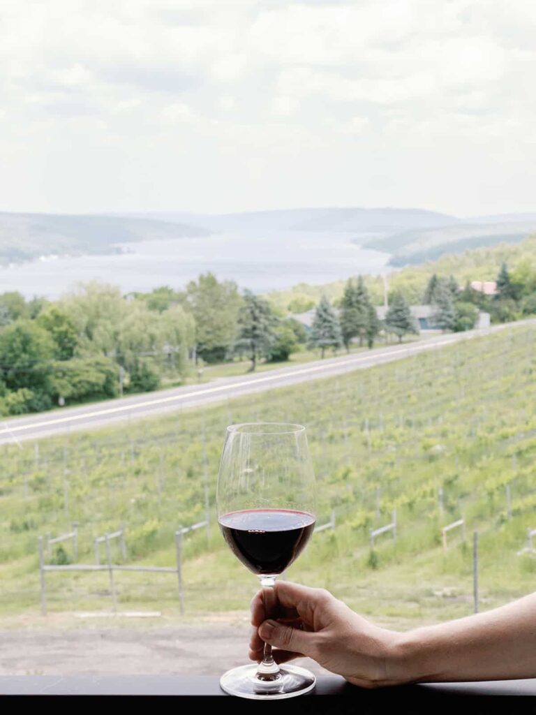 A close-up of a hand holding a glass of red wine, with a vineyard and Keuka Lake in the distance under a partly cloudy sky.