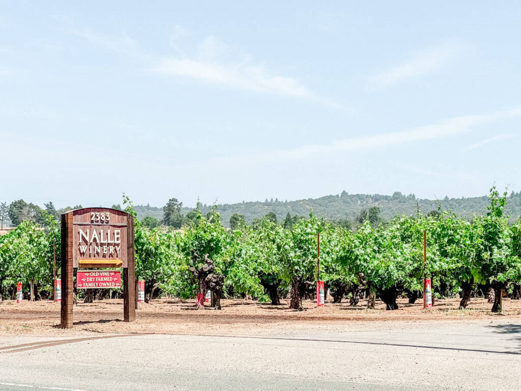 Nalle Winery’s wooden entrance sign surrounded by old vine grapevines, with hills in the background; the sign highlights “Old Vine,” “Dry Farmed,” and “Family Owned.”