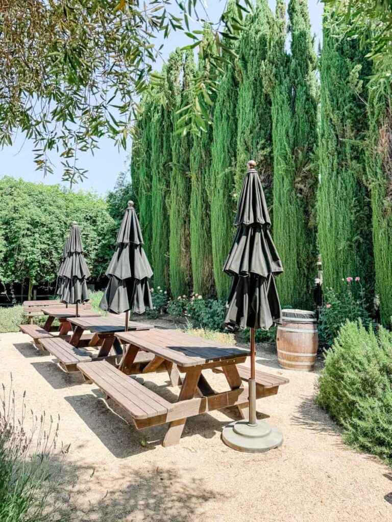Shaded picnic area at Unti Vineyards with wooden tables, closed black umbrellas, and lush green cypress trees in the background.