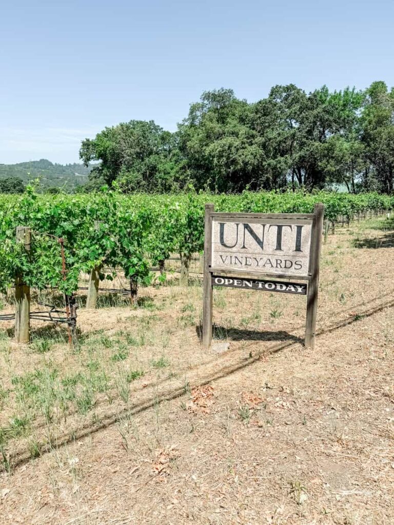 Entrance sign for Unti Vineyards reading “Open Today,” surrounded by leafy grapevines and trees under a sunny blue sky.