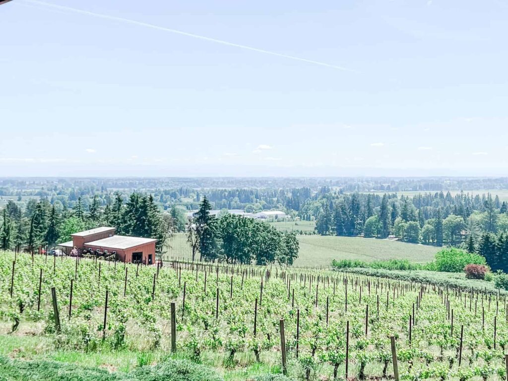 A panoramic view of the Willamette Valley, Oregon, with rows of grapevines and a small winery building nestled among the greenery, with forested hills and a distant horizon.