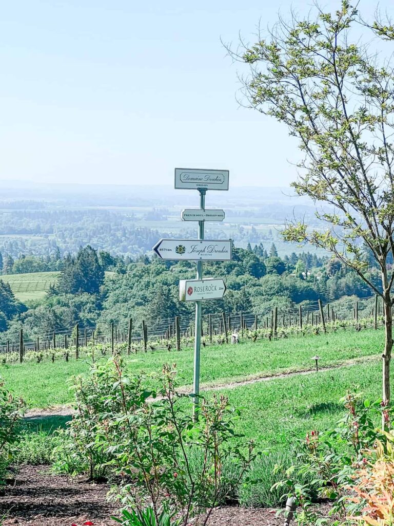 A signpost stands in front of a vineyard with multiple directional signs pointing to Domaine Drouhin, Joseph Drouhin, and Roserock. The background shows lush greenery and rolling hills under a clear blue sky.