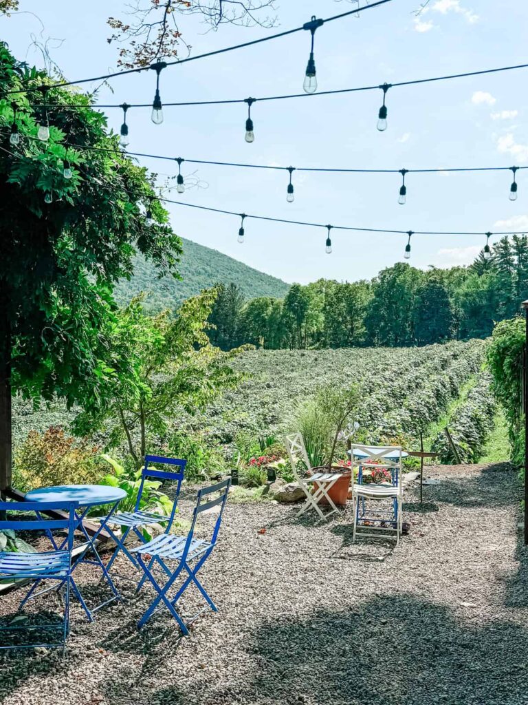 A cozy outdoor seating area with bright blue chairs and tables under string lights, overlooking lush green vineyards and a forested hillside in the background.