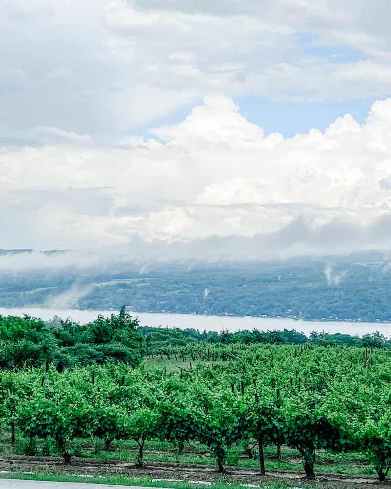 Scenic view of a lush vineyard in the Finger Lakes wine region, with rows of green grapevines in the foreground and Keuka Lake in the background, partially covered by low-hanging clouds and mist.