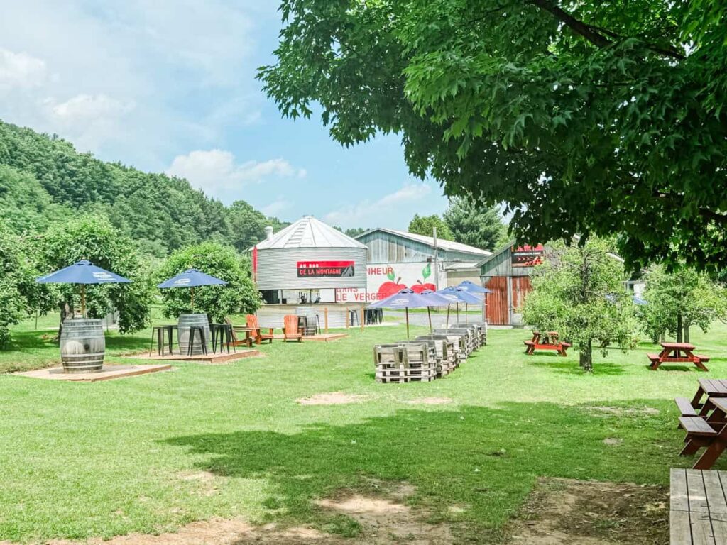 Grassy outdoor seating area at Michel Jodoin with barrel tables, wooden benches, and umbrellas surrounded by apple trees and picnic tables under a blue sky.