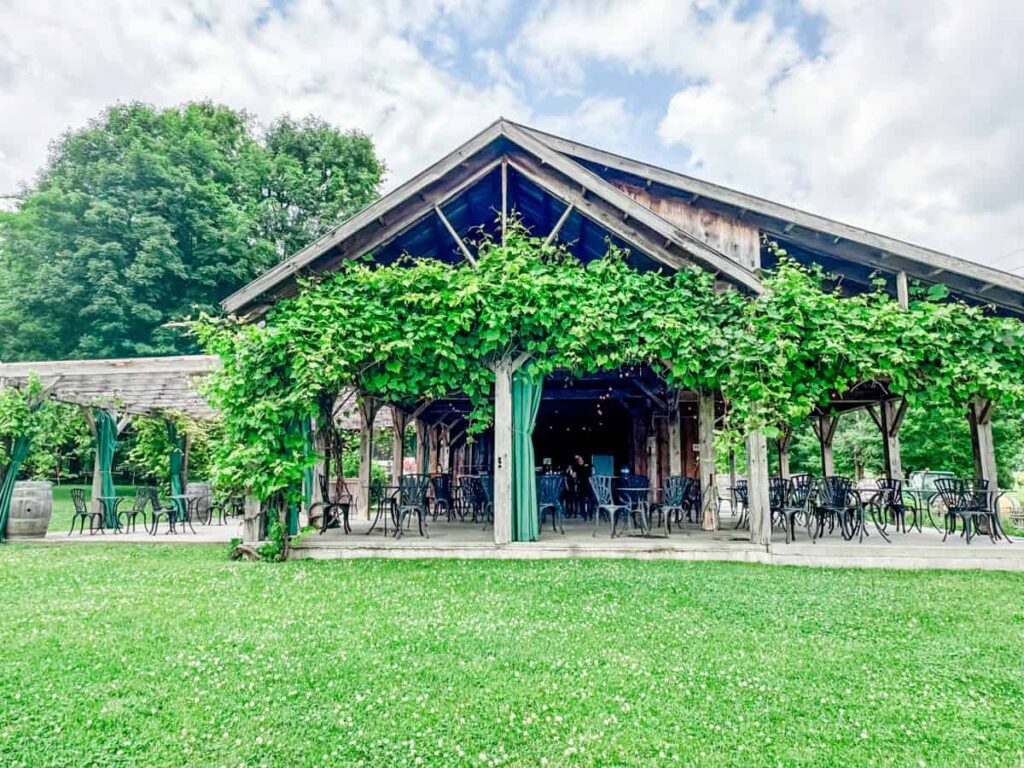 Open-air pavilion at Domaine du Ridge, covered in leafy vines and set with black metal tables and chairs on a neatly mowed lawn.