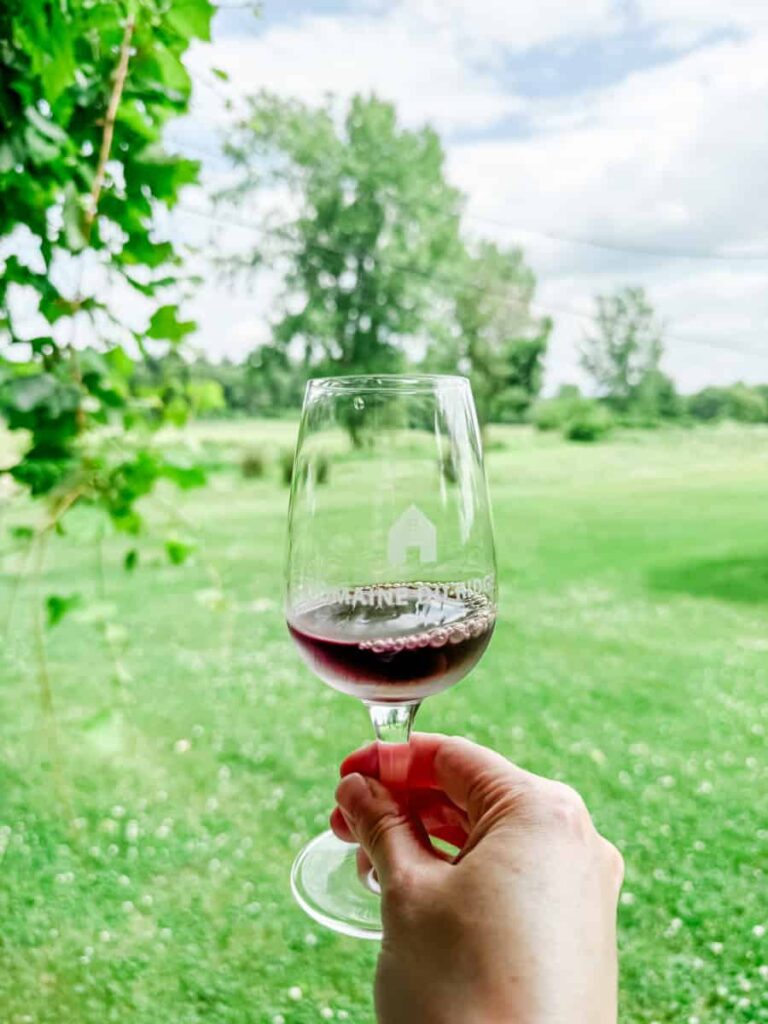 Hand holding a glass of red wine with the Domaine du Ridge logo, with a scenic view of the grassy lawn and leafy trees in the background.
