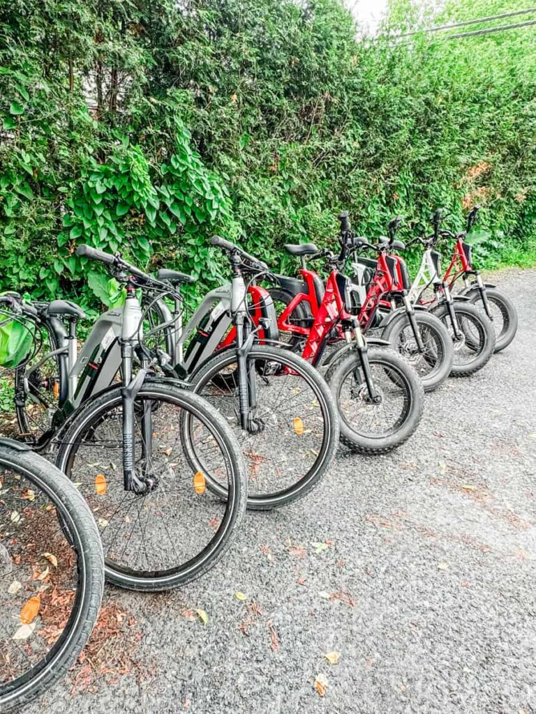 A row of electric bikes lined up on a gravel path, available for rent in the Eastern Townships for exploring the wine route. The bikes are a mix of red and grey models, parked beside a lush green hedge.
