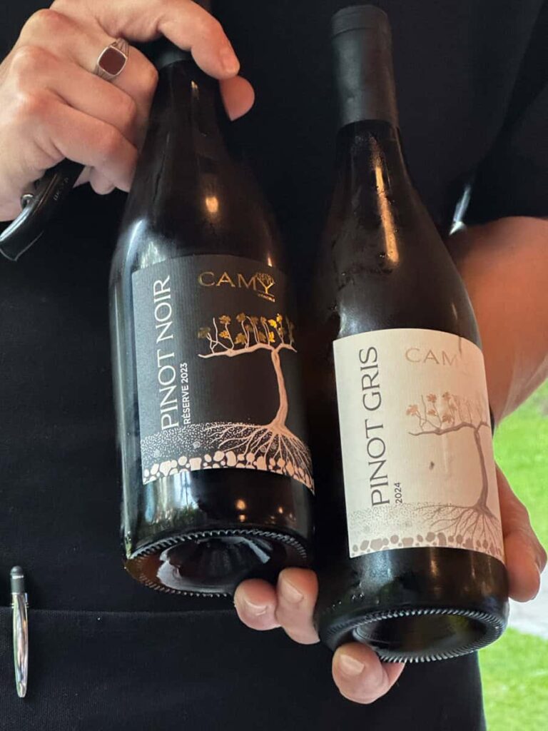 Close-up of two CAMY wine bottles—Pinot Noir Réserve 2023 and Pinot Gris 2024—held side by side by a server in dark clothing.
