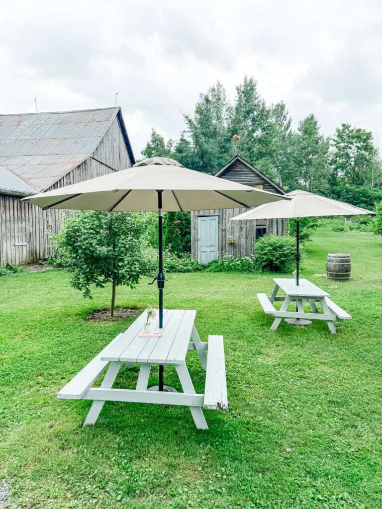 Light gray picnic tables with umbrellas set on a lush green lawn at Vignoble de l'Ardennais, with rustic wooden barns and leafy trees in the background.