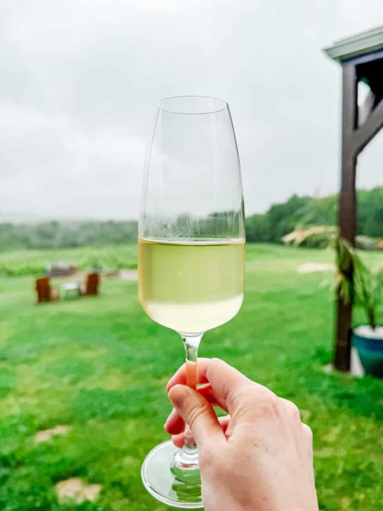 A hand holding a flute of sparkling white wine against a misty green vineyard backdrop at Vignoble Les Côtes du Gavet.
