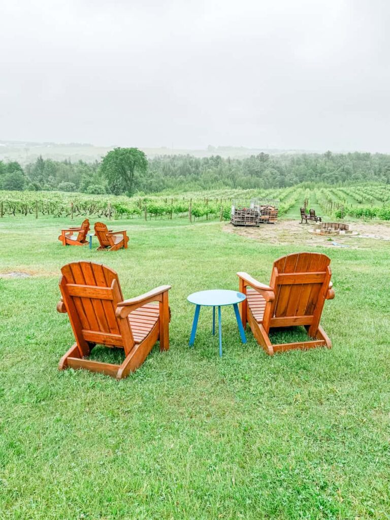 Two wooden Adirondack chairs with a small round table overlooking rows of grapevines and rolling hills at Vignoble Les Côtes du Gavet on a foggy day.