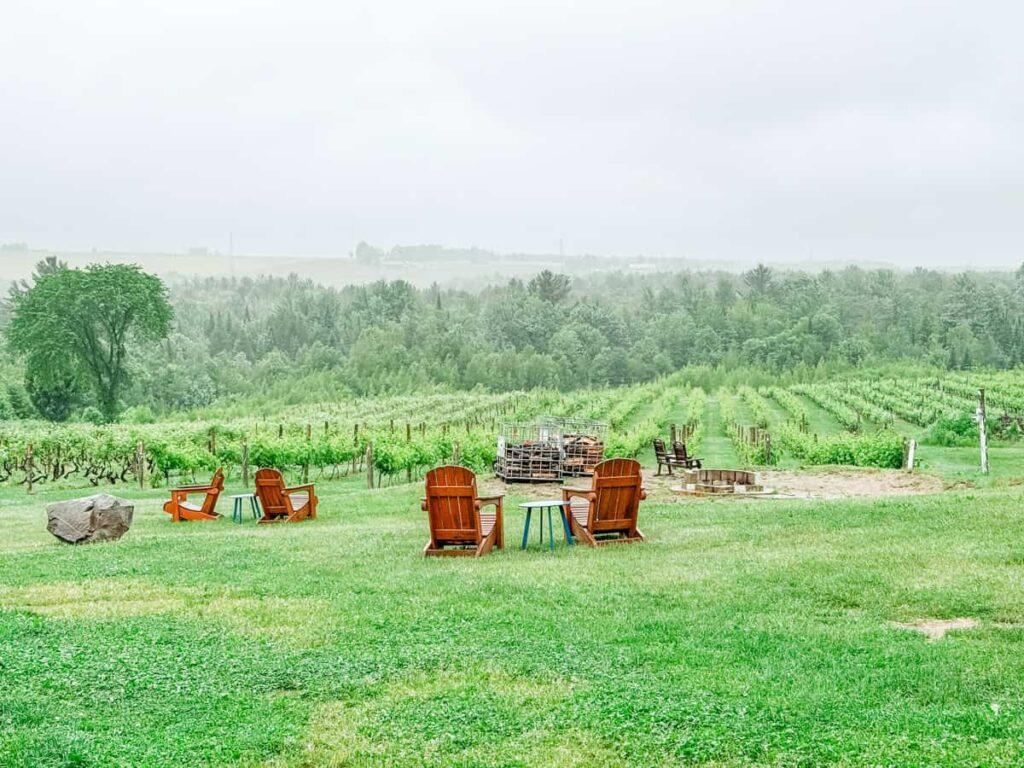 Two wooden Adirondack chairs with a small round table overlooking rows of grapevines and rolling hills at Vignoble Les Côtes du Gavet on a foggy day.