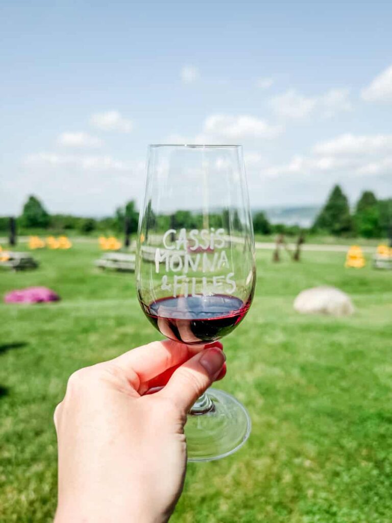 A hand holding a tasting glass of cassis wine with the Cassis Monna & Filles logo, set against a sunny lawn dotted with chairs and picnic tables.