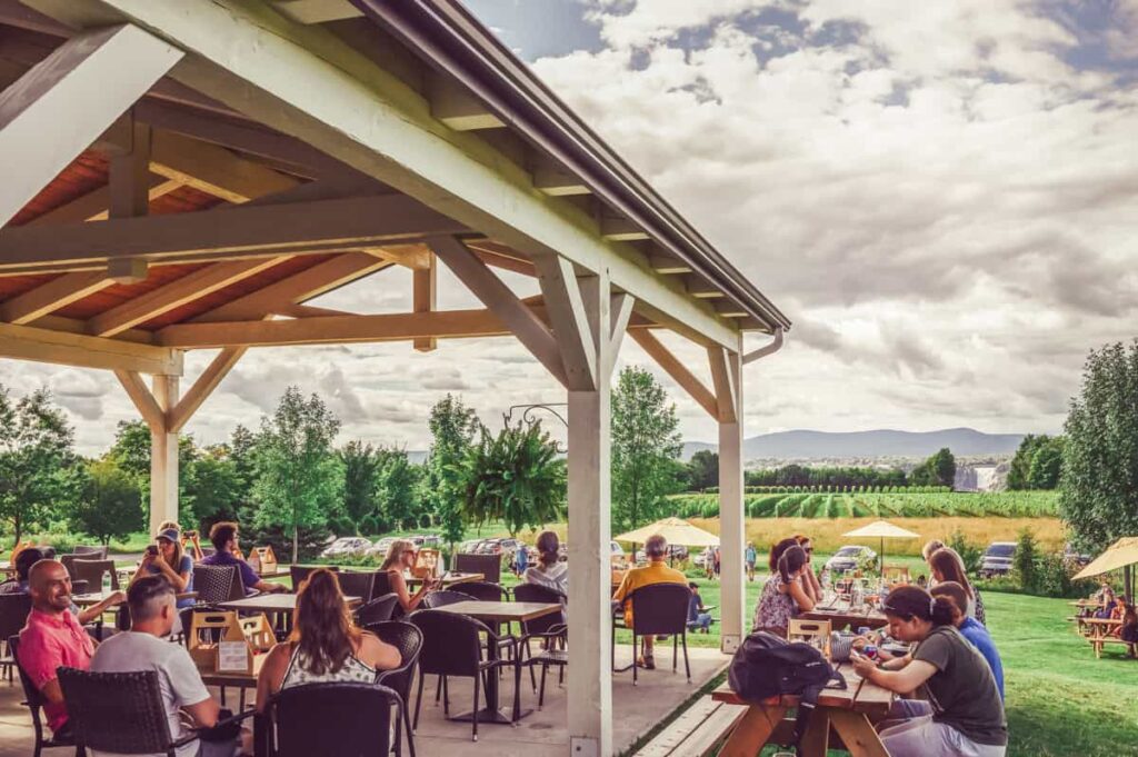 Guests relax under a covered patio and at picnic tables at Saint-Pierre Le Vignoble, surrounded by vineyard rows and a panoramic view of the mountains under a partly cloudy sky.