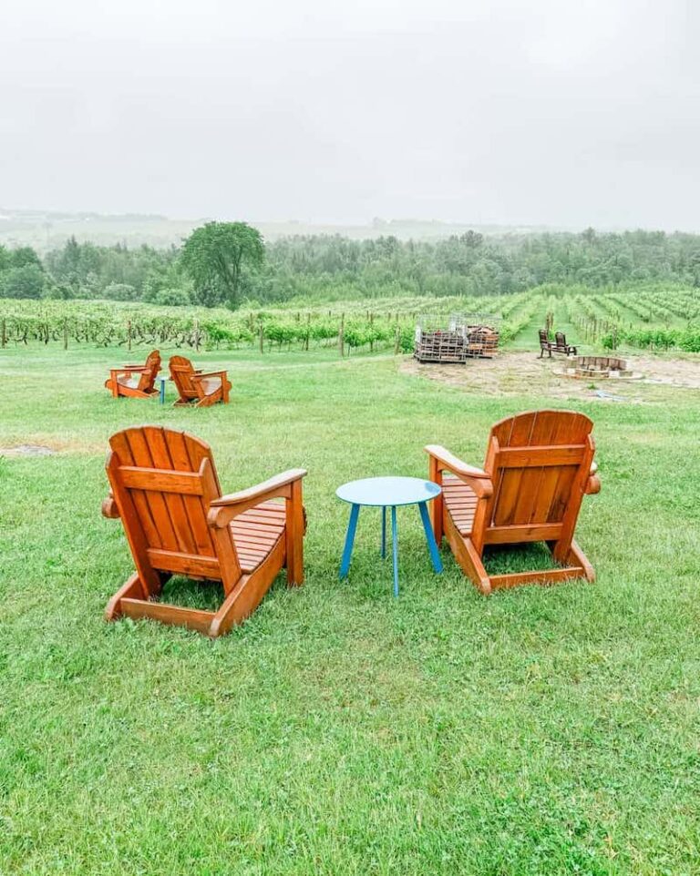 Two wooden Adirondack chairs with a small round table overlooking rows of grapevines and rolling hills in Southern Quebec.