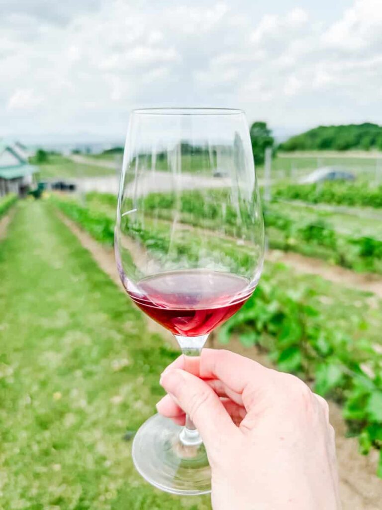 A hand holding a glass of red wine at Vignoble Ste-Pétronille, with vineyard rows and a soft-focus view of the wine route landscape in the background.
