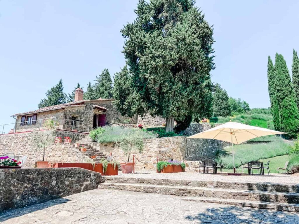 Stone terrace with steps, outdoor seating, large green cypress and pine trees, and a rustic stone house at Poggio al Sole winery under a clear blue sky.