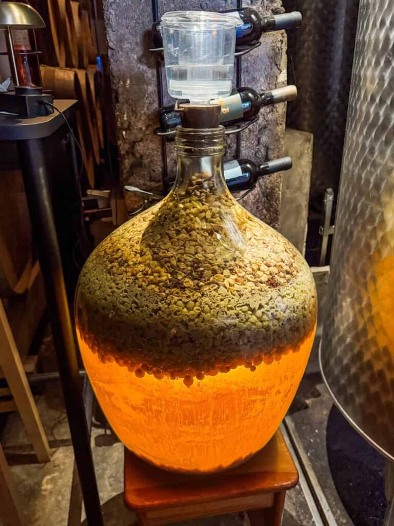 Glass fermentation jug filled at Duboković Wines.